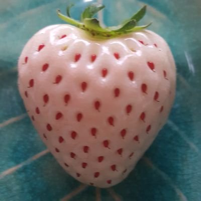 演歌大好き! 三山ひろし君のビタミンボイスに癒され、元気もらってます。
ピンク🍓宜しくです。