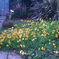 Geraldine Crowley (@geraldinecrowl8) 's Twitter Profile