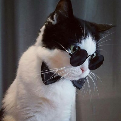 kilovoltzz's profile picture. I’m just a simple man