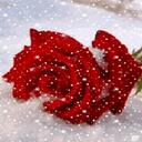 Beatrice Moore - @curbeakey - Twitter