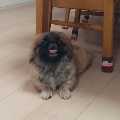 YzJN1N35NN's profile picture. 