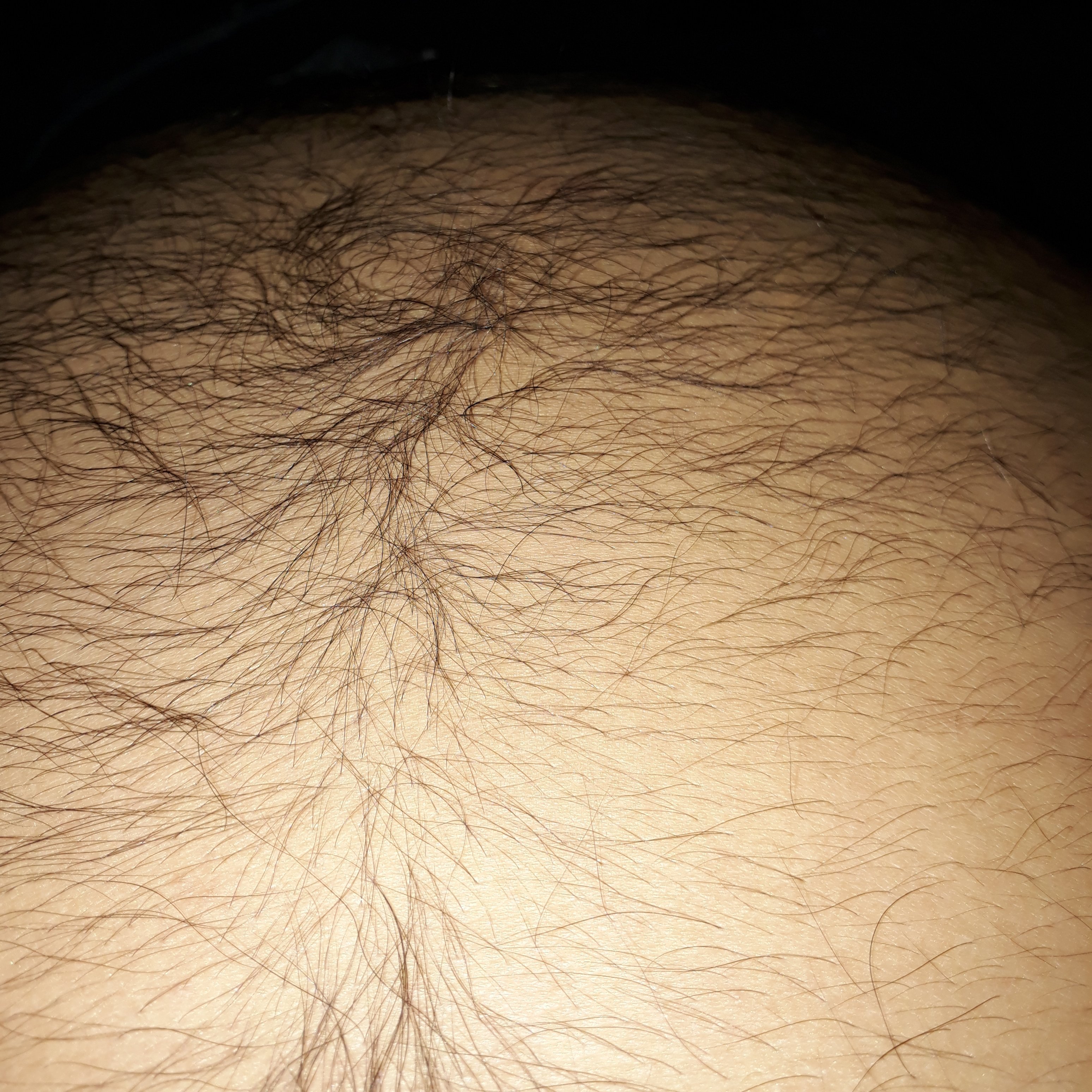 Drk_bearchubby's profile picture. Gordito semivelludo