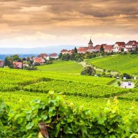 @Ridge (@ridge) 's Twitter Profile