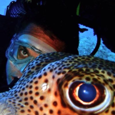 instaobc's profile picture. knowmad