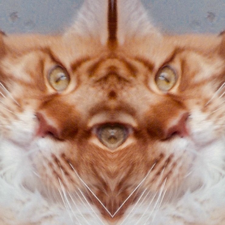 Irmgard69206733's profile picture. hallo. wos is mit eich?