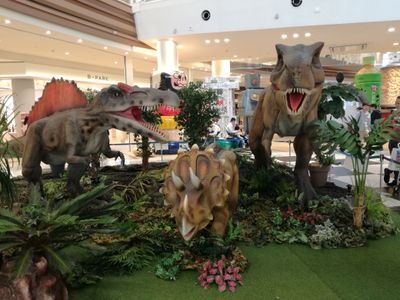 sakura0saku9's profile picture. 整理するか