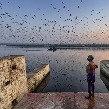 28RamplDoban's profile picture. Global