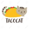 slayerfreak92's profile picture. Metal,Comedy,Cats and Tacos are the 4 things that equal happiness.