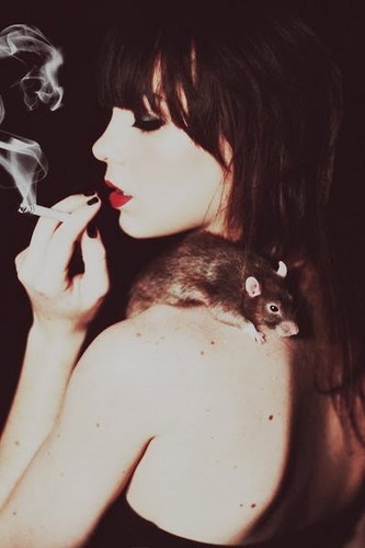 GarotasLunatic's profile picture. 