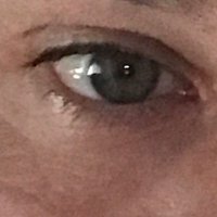 OzzMongo (@ozzmongo) 's Twitter Profile