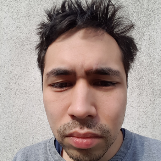 Programming js/php/ts/rust. Using Magento to build web shops. Flexitarian. Often reading about news and technology things. Playing with self-host ai stuff.