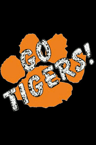 RCC_cheer_dance's profile picture. not just a team - were a family