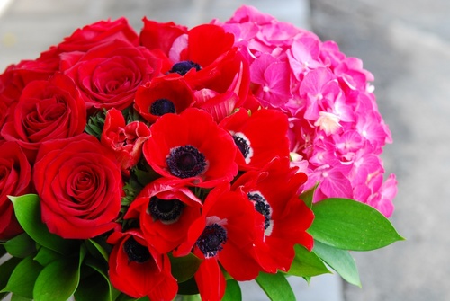 Flowrshopgirls1's profile picture. 