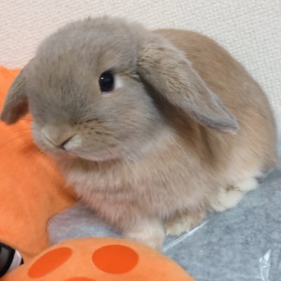 kouda_masayuki Profile Picture