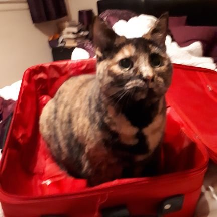 rrobby1984's profile picture. Life down here is just a strange illusion