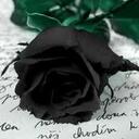 olivia nagy - @olcsiika - Twitter