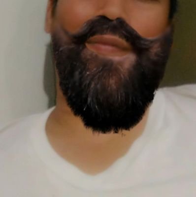 pieinasia's profile picture. Bi