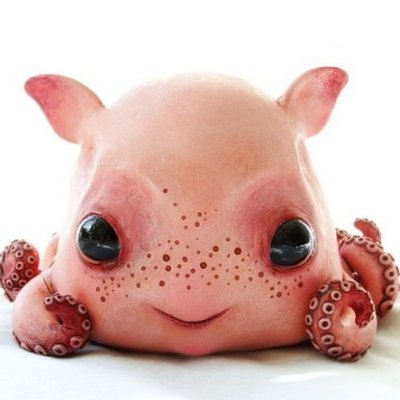 こうちゃん 俺は 美人になる可能性を秘めたいじめられっ子 に親切にしていた 大人になり 同窓会で再会した結果www かぞくちゃんねる Http T Co 5qazn72bks