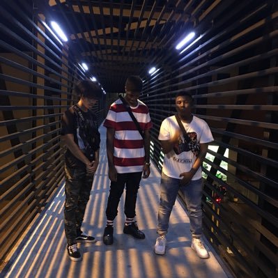 steezytwitt3r's profile picture. 🦍