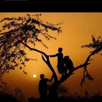 Pras Patel (@pras_patel) 's Twitter Profile