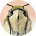 GGpice (@ggpice) Twitter profile photo GGpice (@ggpice) Twitter profile photo