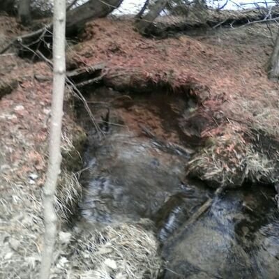 (Definitely not professional) photographer, that one person you run into in the woods, and the unsuspecting trespasser on unknown property 😂 I'm also very dumb