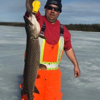 Jamie Tofflemire (@jamietofflemire) Twitter profile photo