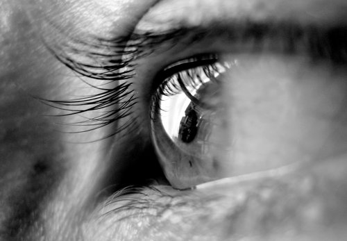 LauraMott's profile picture. 