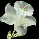 Berta reyes - @Bertare69194518 - Twitter