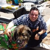 Joe Cool Home Depot PM (@joecool98158645) 's Twitter Profile