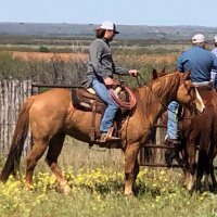 jarred (@jarredgibson12) 's Twitter Profile