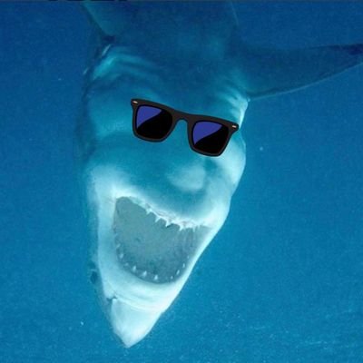 Coolerator2's profile picture. 