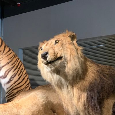 alen_gaogao's profile picture. 