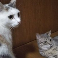 ₭¥Ø$üķ€ (@start_today0811) 's Twitter Profile Photo ₭¥Ø$üķ€ (@start_today0811) 's Twitter Profile Photo