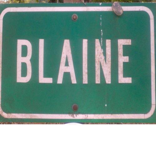 SirBlaine's profile picture. Scruffy-bearded weirdo
