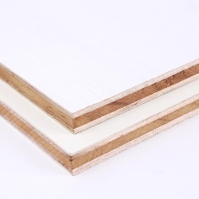 HuangLouz's profile picture. 