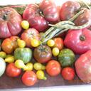 Ted Luther - @TomatoTed - Twitter