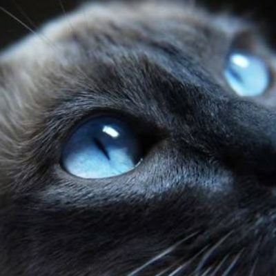 みぃさんのプロフィール画像