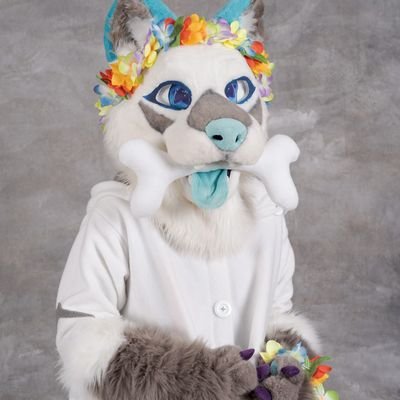 Nova Starchildさんのプロフィール画像