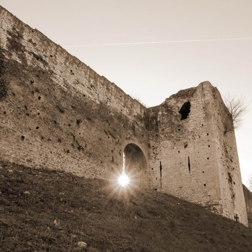 montjoyenet's profile picture. 