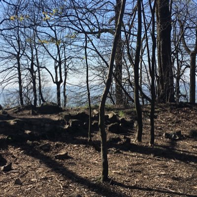 SubRoom_Videos's profile picture. Bringing you the latest news about Submission Room Videos

https://t.co/kQl4Tx5c3j
https://t.co/ECgglZwtPY