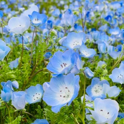 リア垢　保育がんばってる　嵐最高 ＊無言フォローおゆるしください