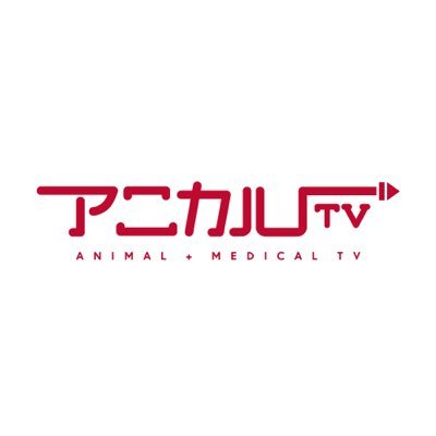 アニカルTVは獣医師運営のYouTubeアカウントです。「動物病院の現状」や「犬猫ちゃんとの生活で気をつけたいポイント」など飼い主さん向け動画を公開しています🎥