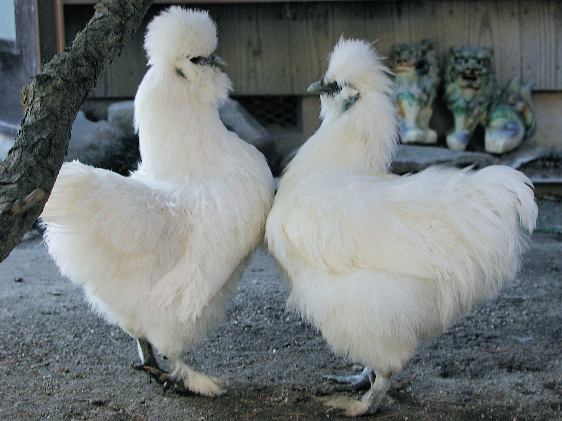 ps2YudrdIpWd9J3's profile picture. 地球大好き