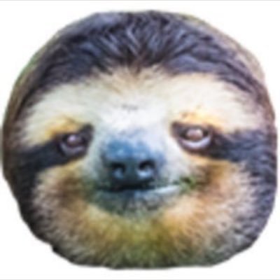 streamer , ps4 fortnite grinder 🔥 r6 player. player for ..?