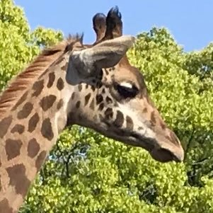 r1man2's profile picture. 