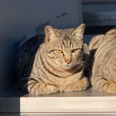 thinkthink29's profile picture. 