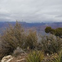 Wanda Brazen VOTING Hussy (@wandano51) 's Twitter Profile Photo