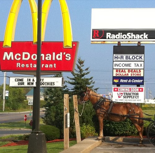 christheloon's profile picture. 