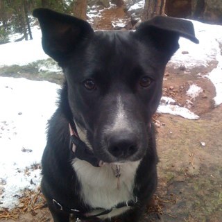 2manyUsernames's profile picture. 